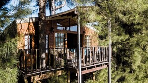 Une cabane en bois dotée d’un balcon, entourée de pins.