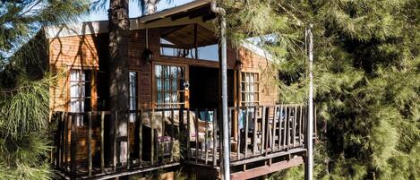 A wooden cabin with a balcony, surrounded by pine trees.
