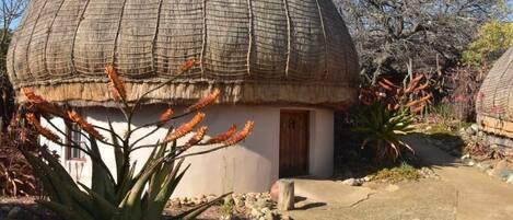 A dome-shaped structure with a thatched roof, surrounded by desert vegetation.