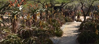 烏穆茲恩迪尼飯店