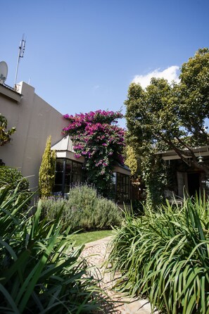 Exterior - Town and Country Guest House (Middelburg)