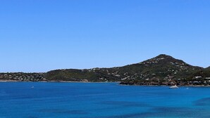 Unclassified image, 3 of 10, button - Le Nid d'Aigle (St. Barthelemy)