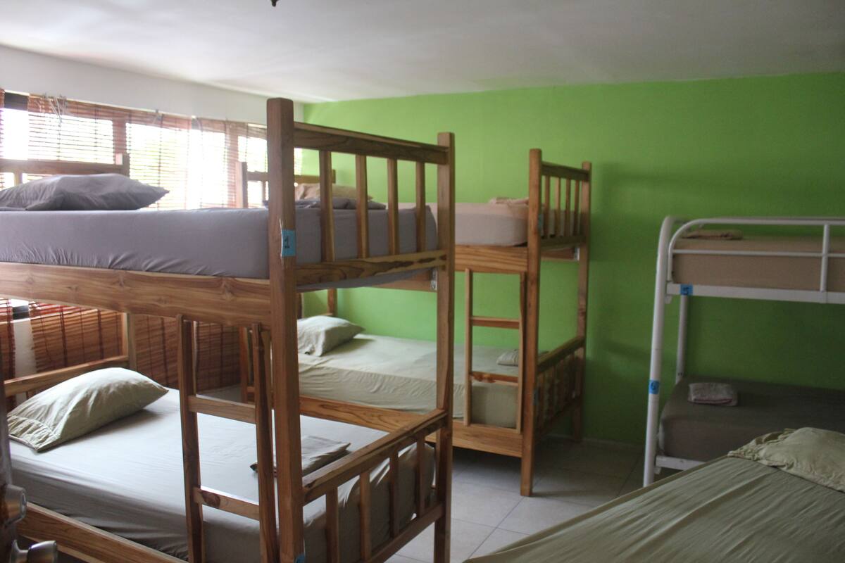 Un dormitorio con literas, estructura de madera y paredes verdes.