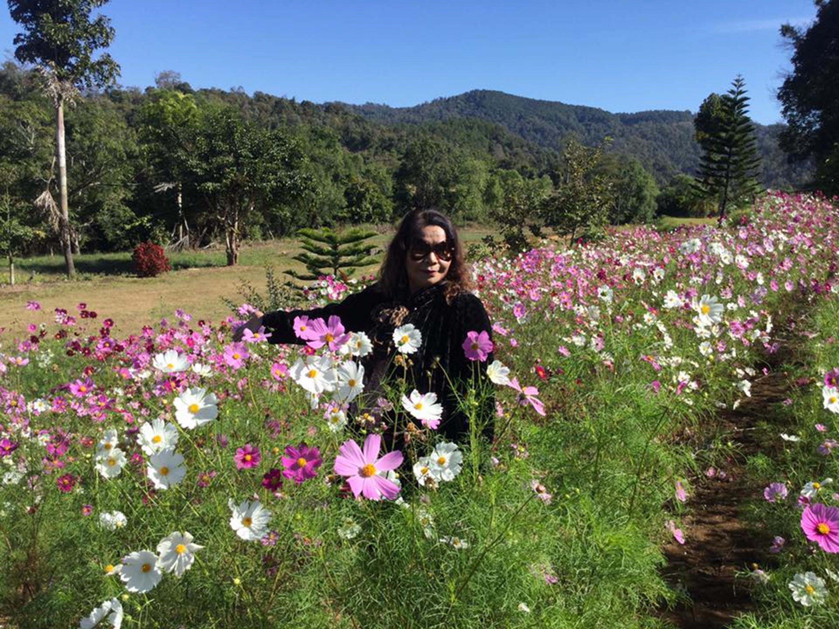 A person standing in a field of flowers with a mountain in the background.