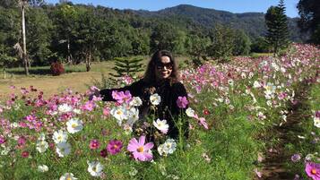 A person standing in a field of flowers with a mountain in the background.