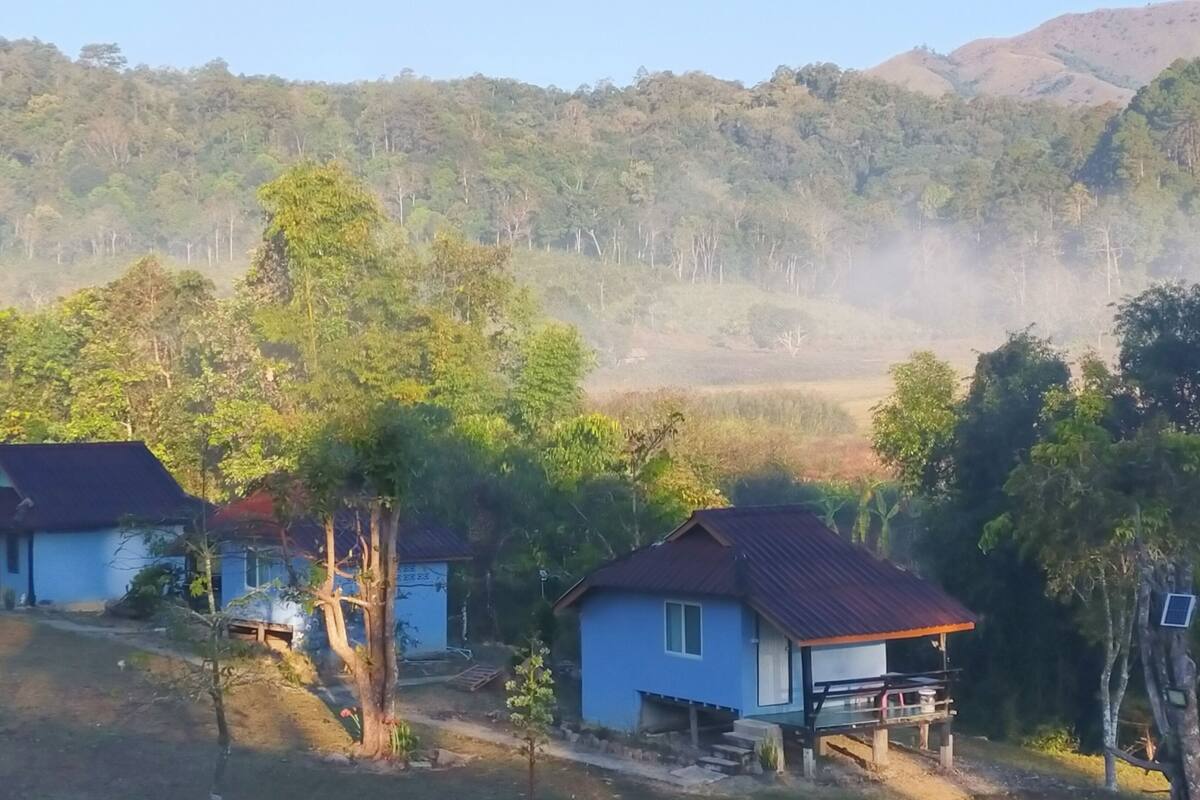 A rural setting with two blue houses, surrounded by trees and a hilly landscape.