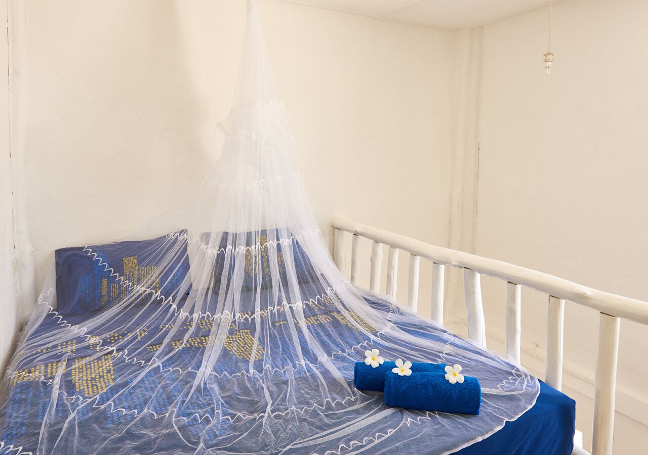 A bed with a mosquito net and blue bedding.