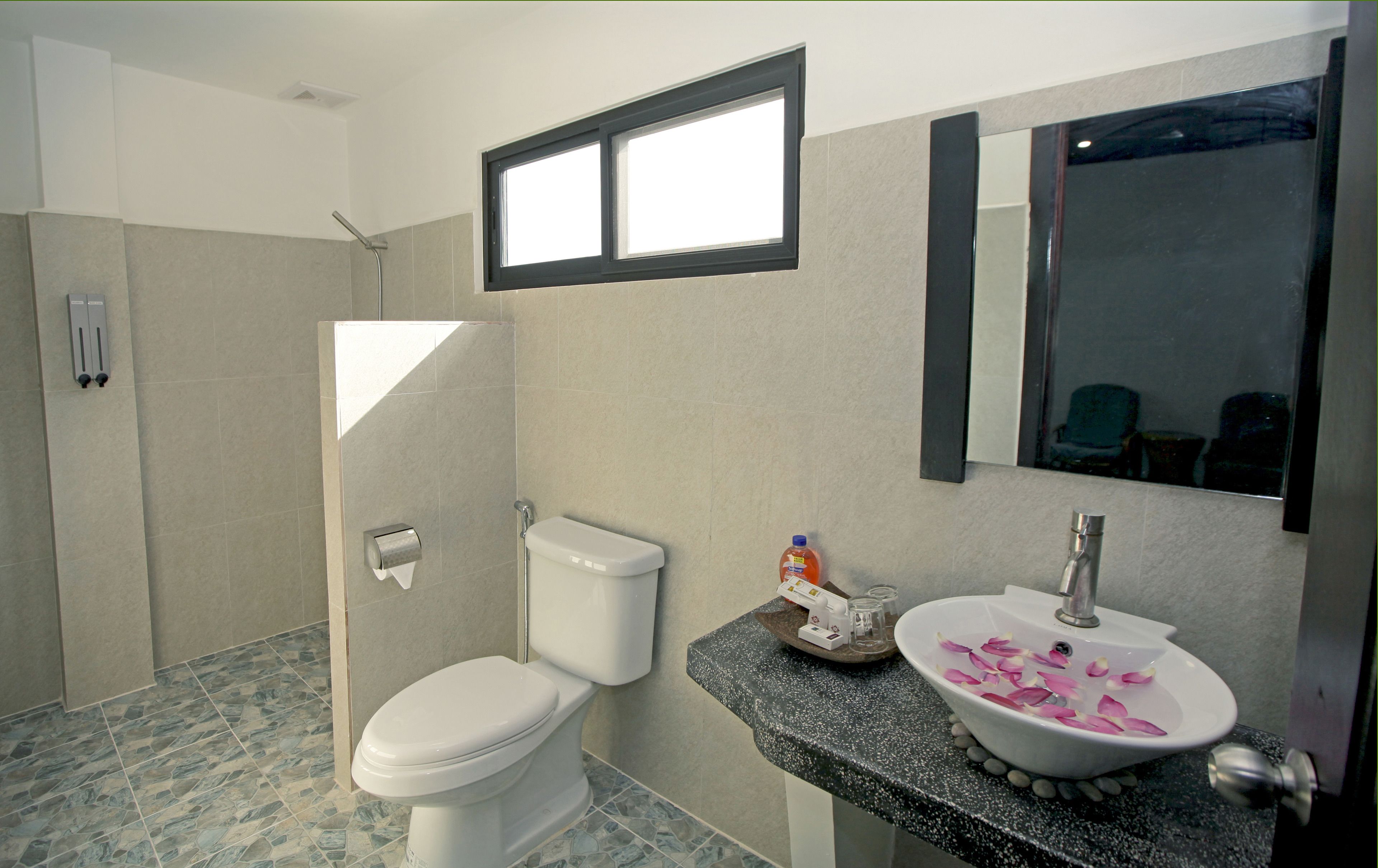 shower, hydromassage showerhead, designer toiletries, hair dryer