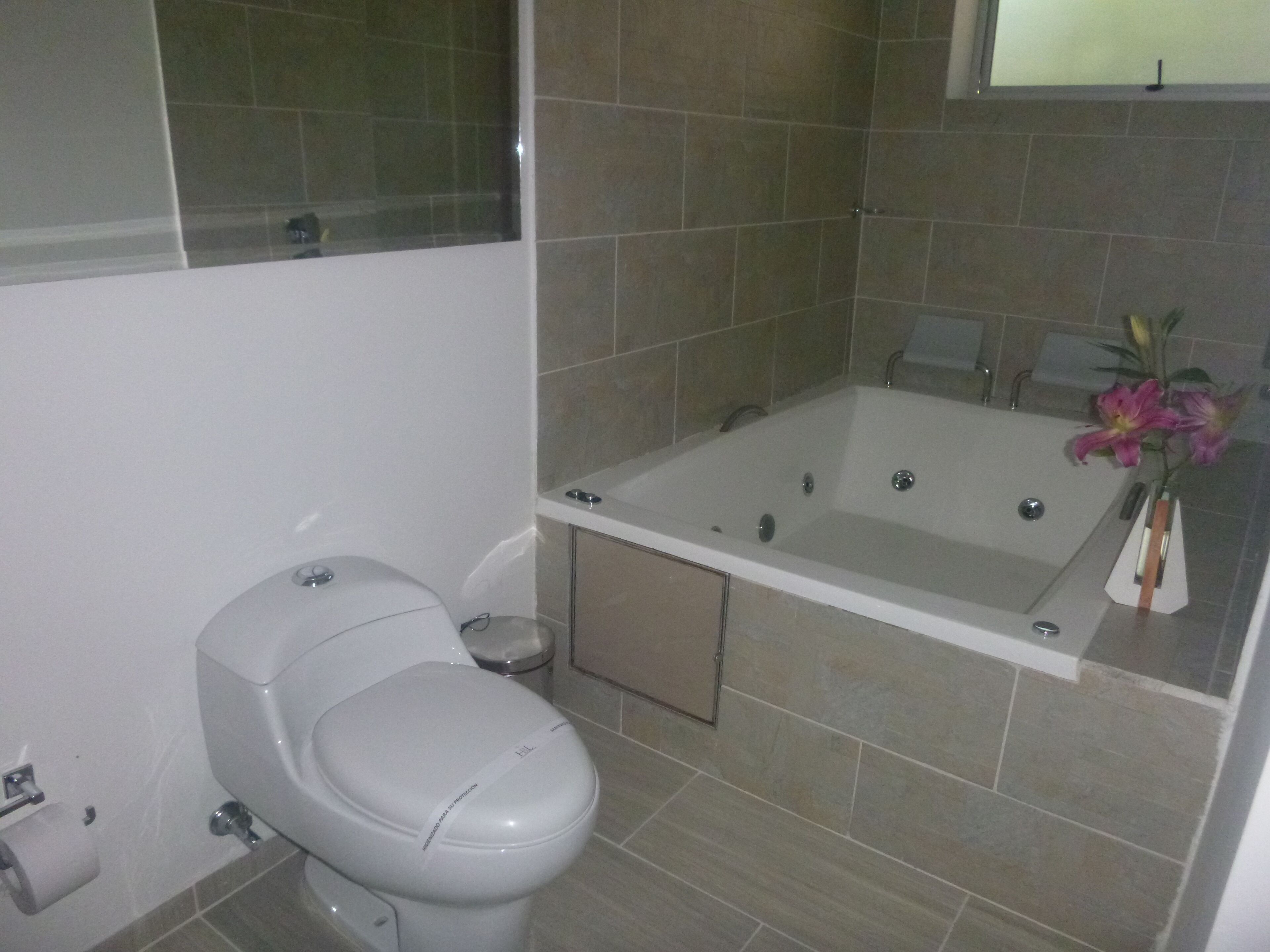 deluxe room, jetted tub | bathroom | free toiletries, hair dryer, towels