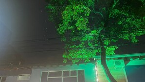 Ein Gebäude mit Baum davor, einem Schild mit der Aufschrift 'Circular 4a 72-51' und einer Lichterkette.