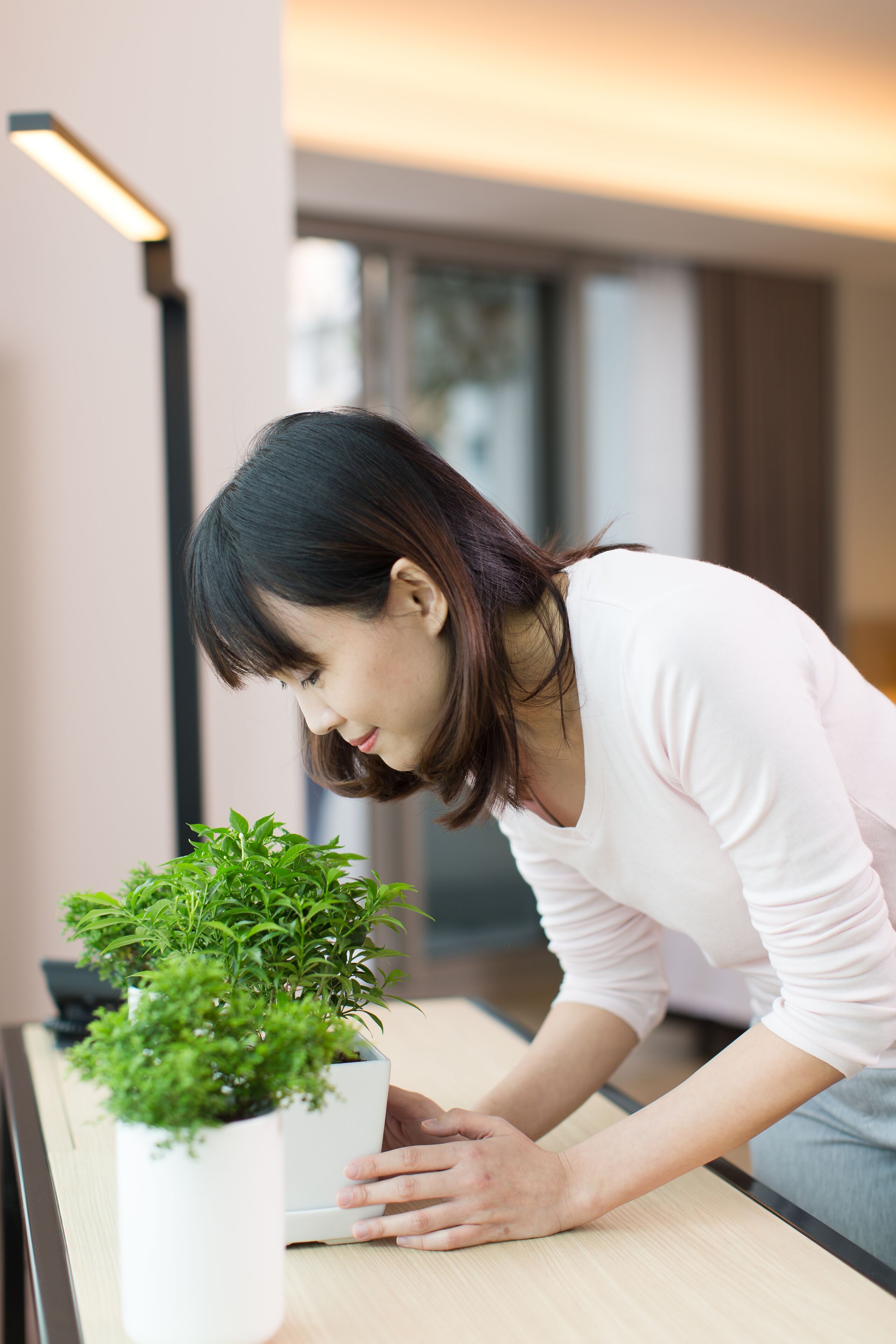 minibar, in-room safe, desk, iron/ironing board
