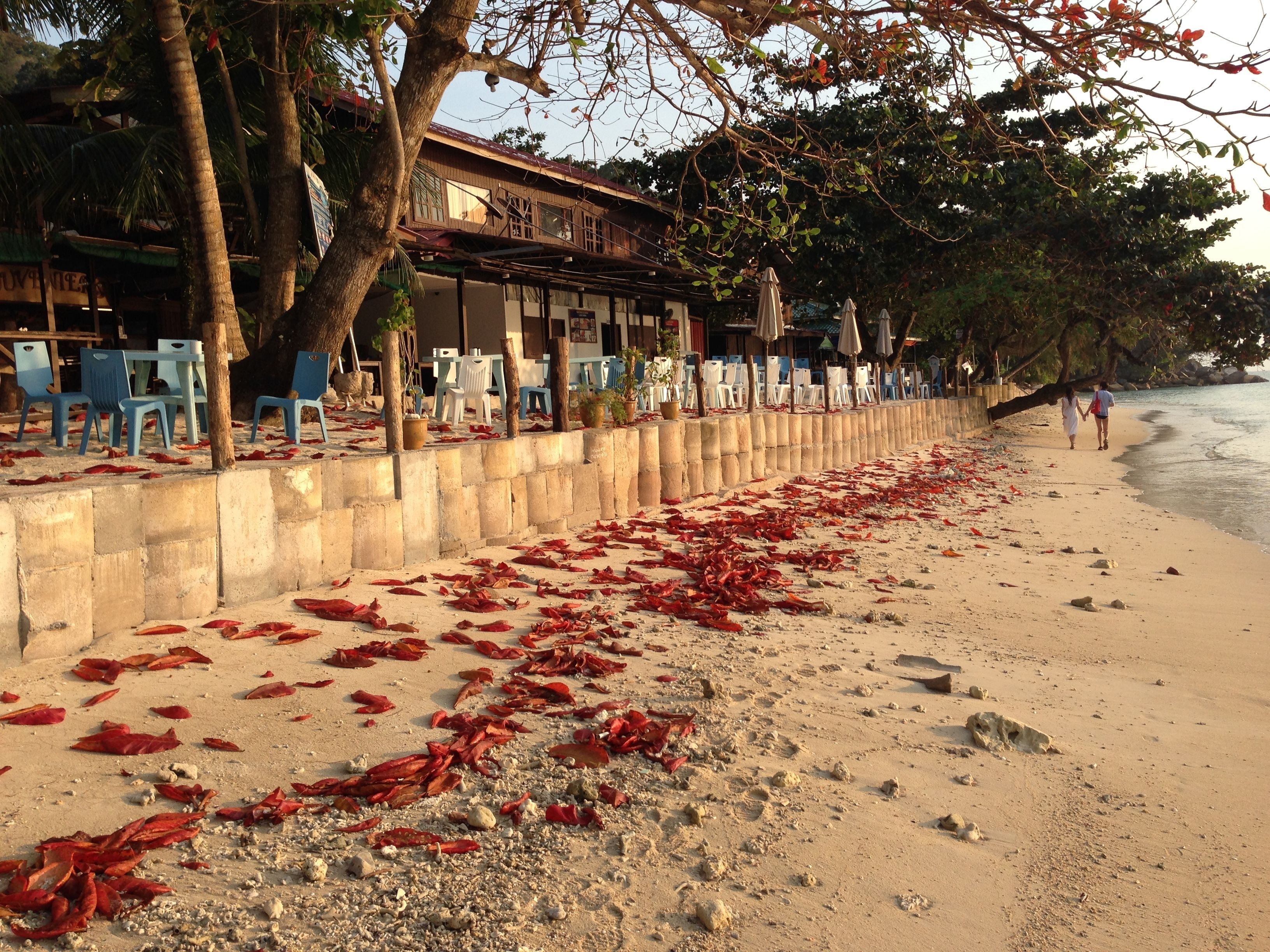 A beach with a concrete barrier, chairs, and umbrellas.