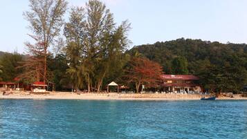 On the beach, scuba diving