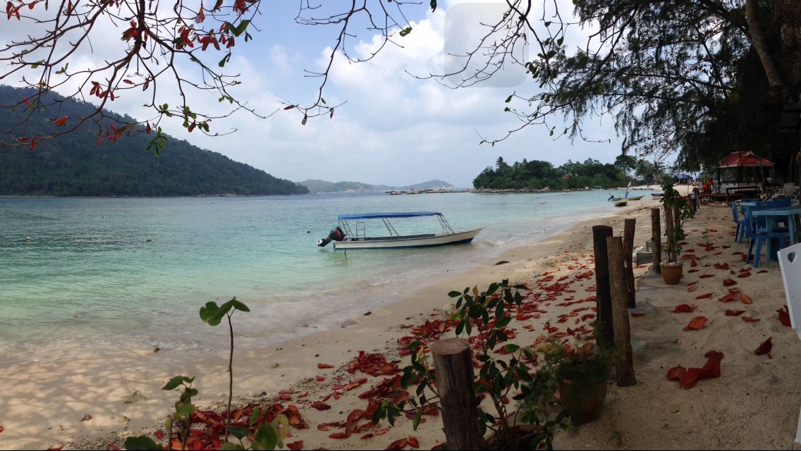 Ein Strand mit einem Boot am Ufer, ein sandiger Pfad mit roten Blumen und im Hintergrund Wasser und Hügel.