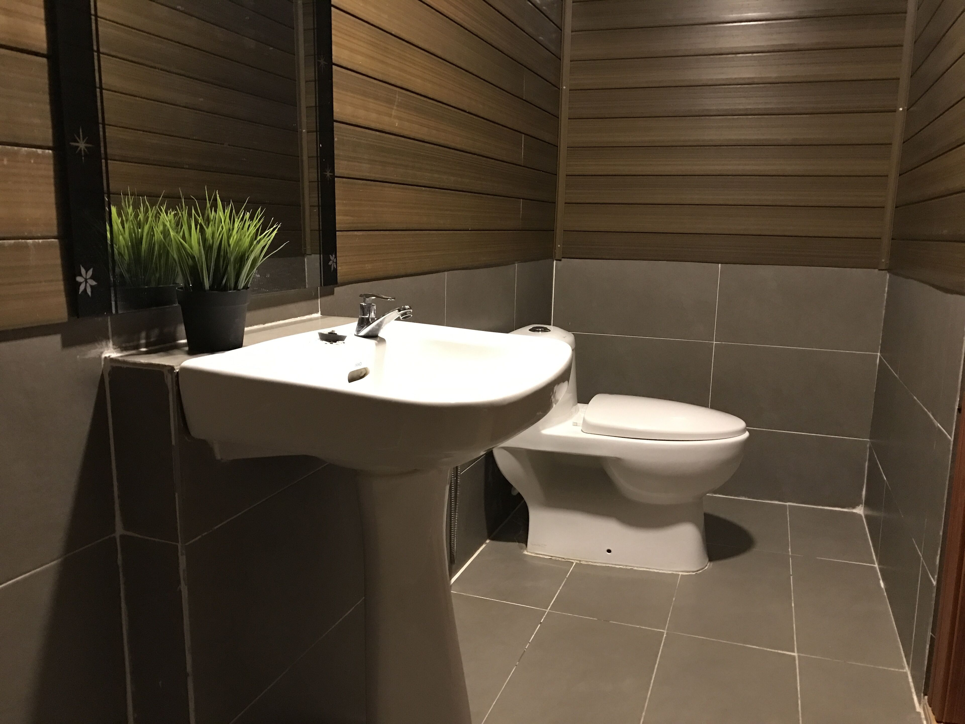 A bathroom with a sink, toilet, and a potted plant.