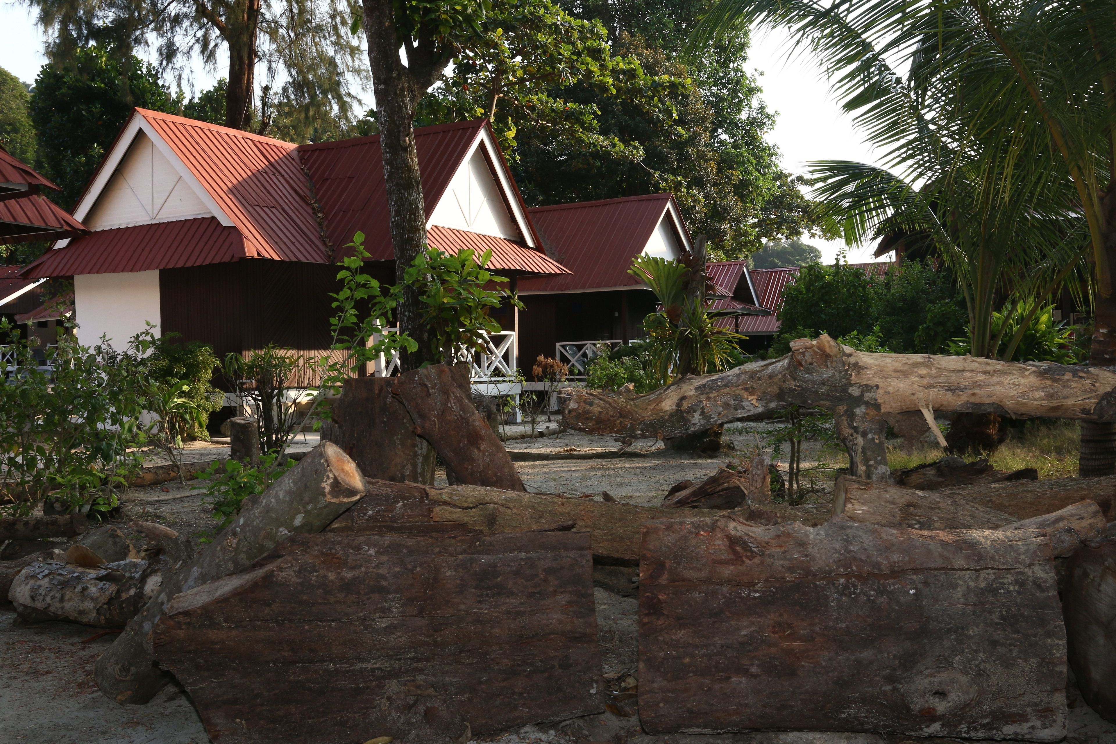 A traditional house with a red roof, surrounded by lush greenery and large logs.