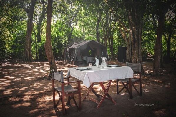 BBQ/picnic area