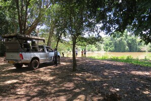 Property grounds