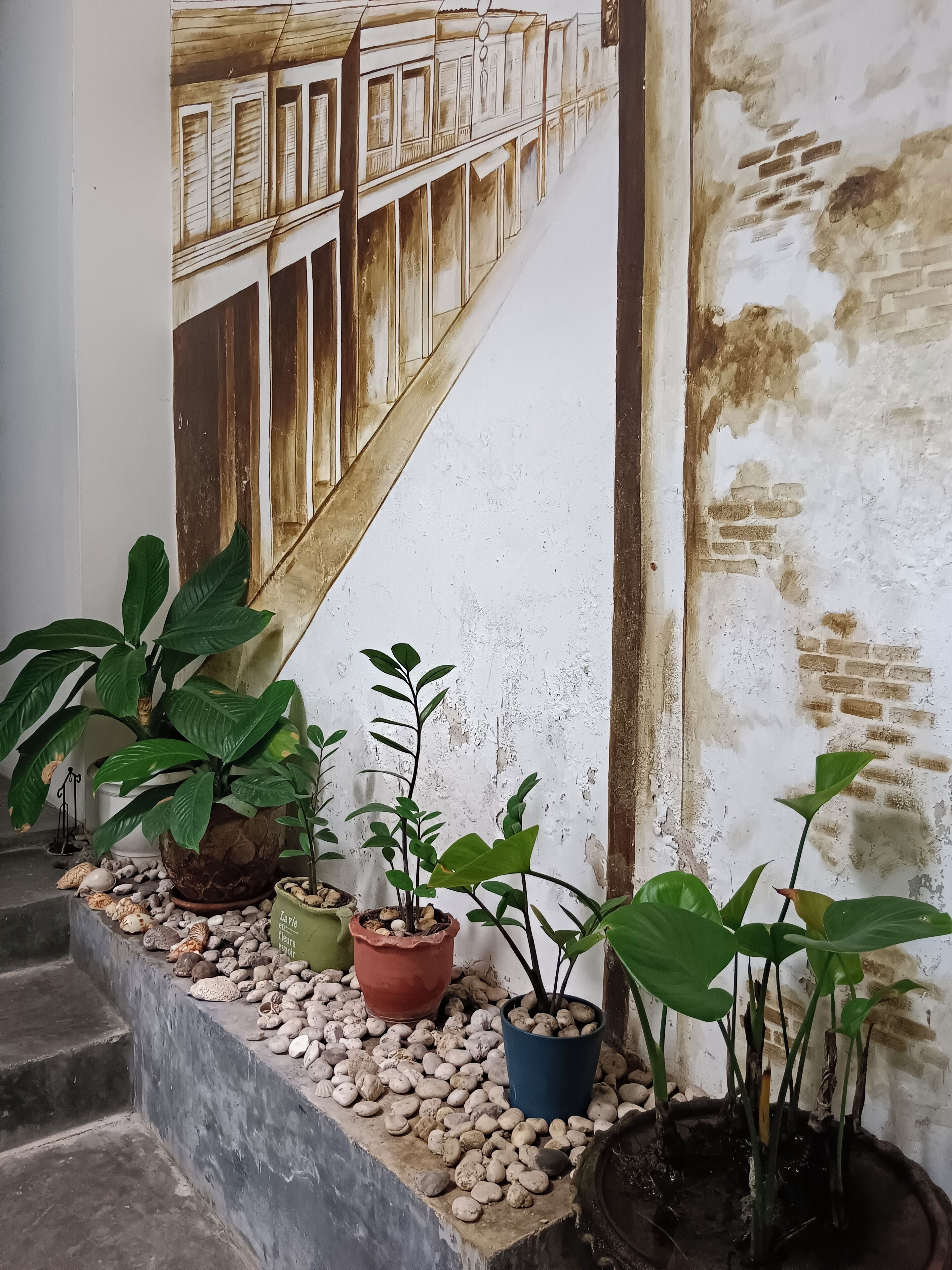 Foto - Chino Town Gallery Alley - SHA Plus