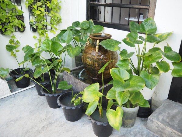 Variedad de plantas en macetas dispuestas en un balcón, con una maceta de cerámica decorativa en el centro.