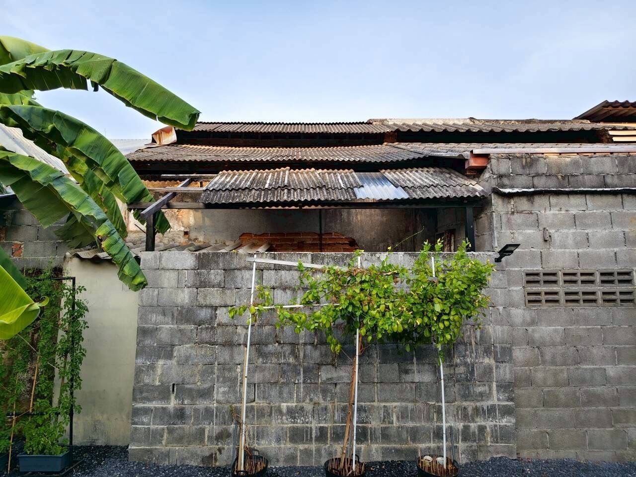 Photo - Chino Town at Yaowarat Phuket - SHA Plus
