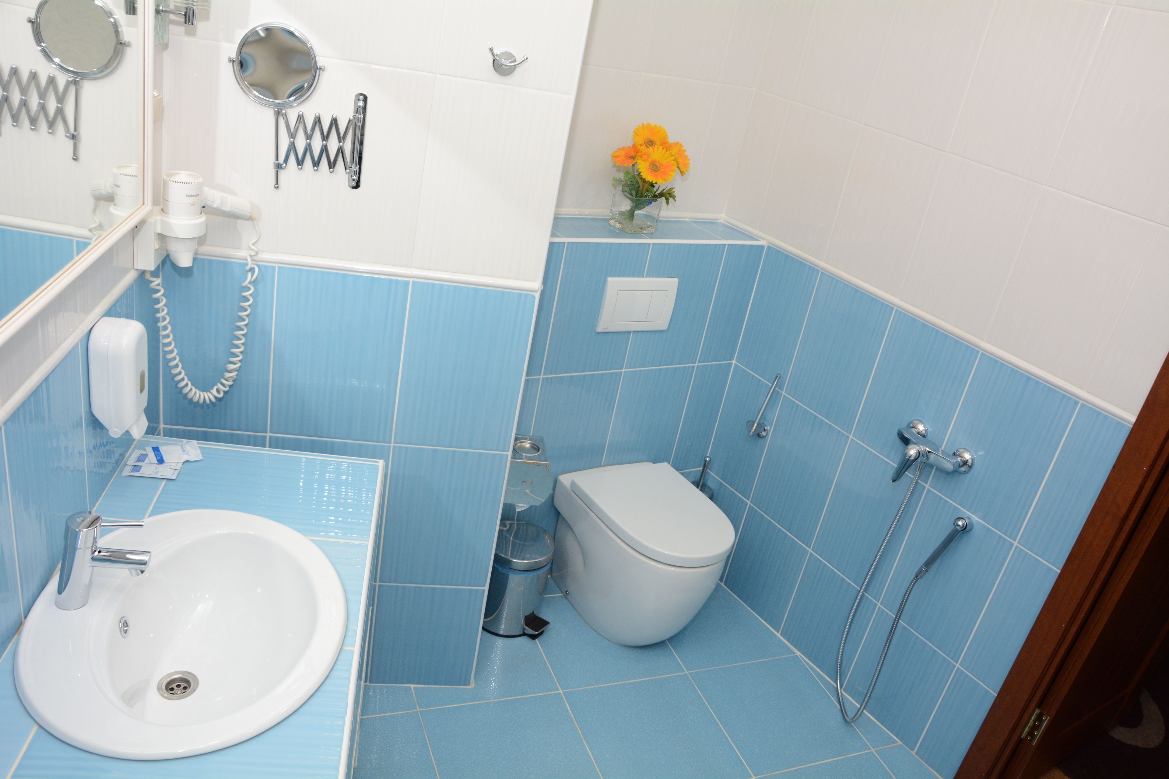 suite | bathroom | shower, free toiletries, hair dryer, towels