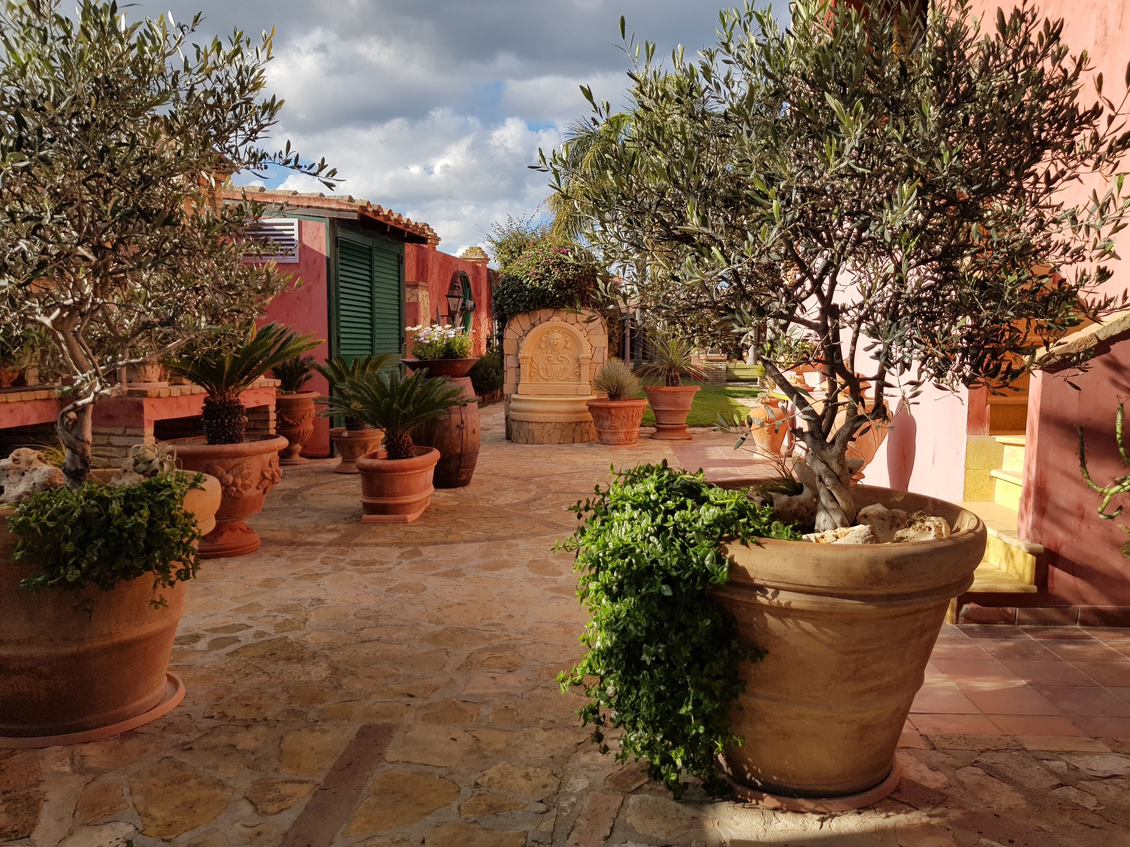 Un patio con plantas en macetas, piso de piedra y un edificio con persiana verde.