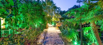 The Pearl of the Golan - Pnina BaGolan