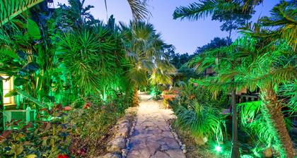 The Pearl of the Golan - Pnina BaGolan