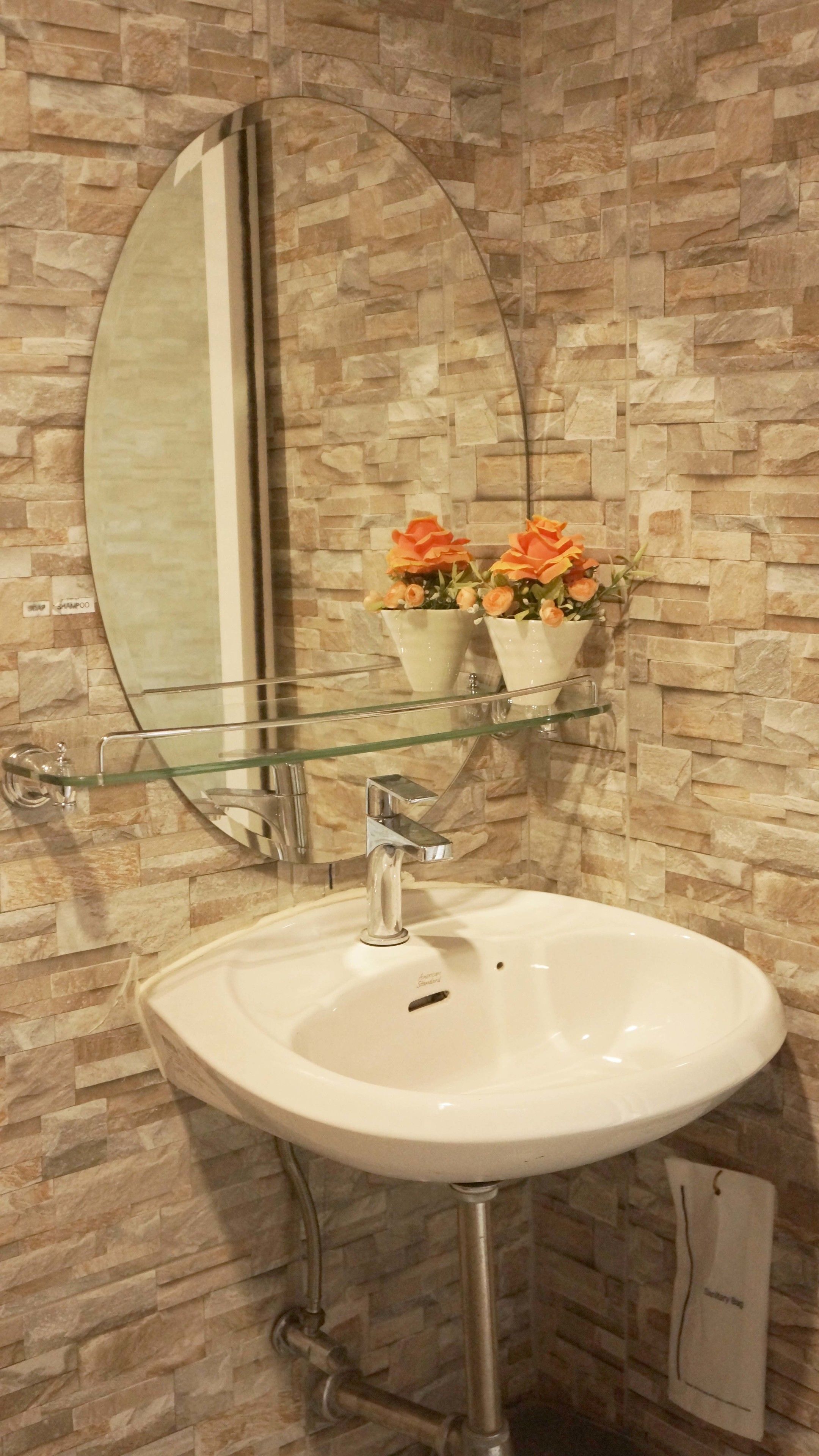 A bathroom with a white sink, a glass shelf with two potted plants, and a large mirror.