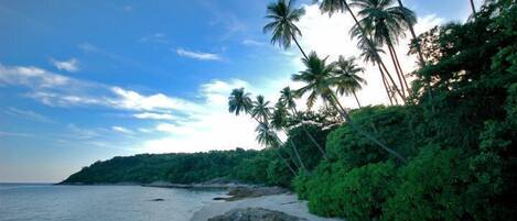 私家海滩、海滩班车、浮潜