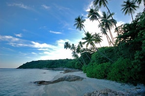 A beach with palm trees, clear sky, and calm sea. - Shari-La Island Resort (Pulau Perhentian Kecil)