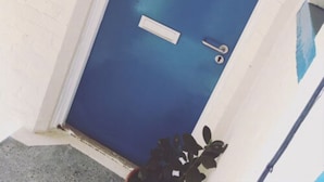 Eine blaue Tür mit Griff und Schlüsselloch, eine weiße Ziegelwand und ein Blumentopf mit dunkelgrünen Blättern.