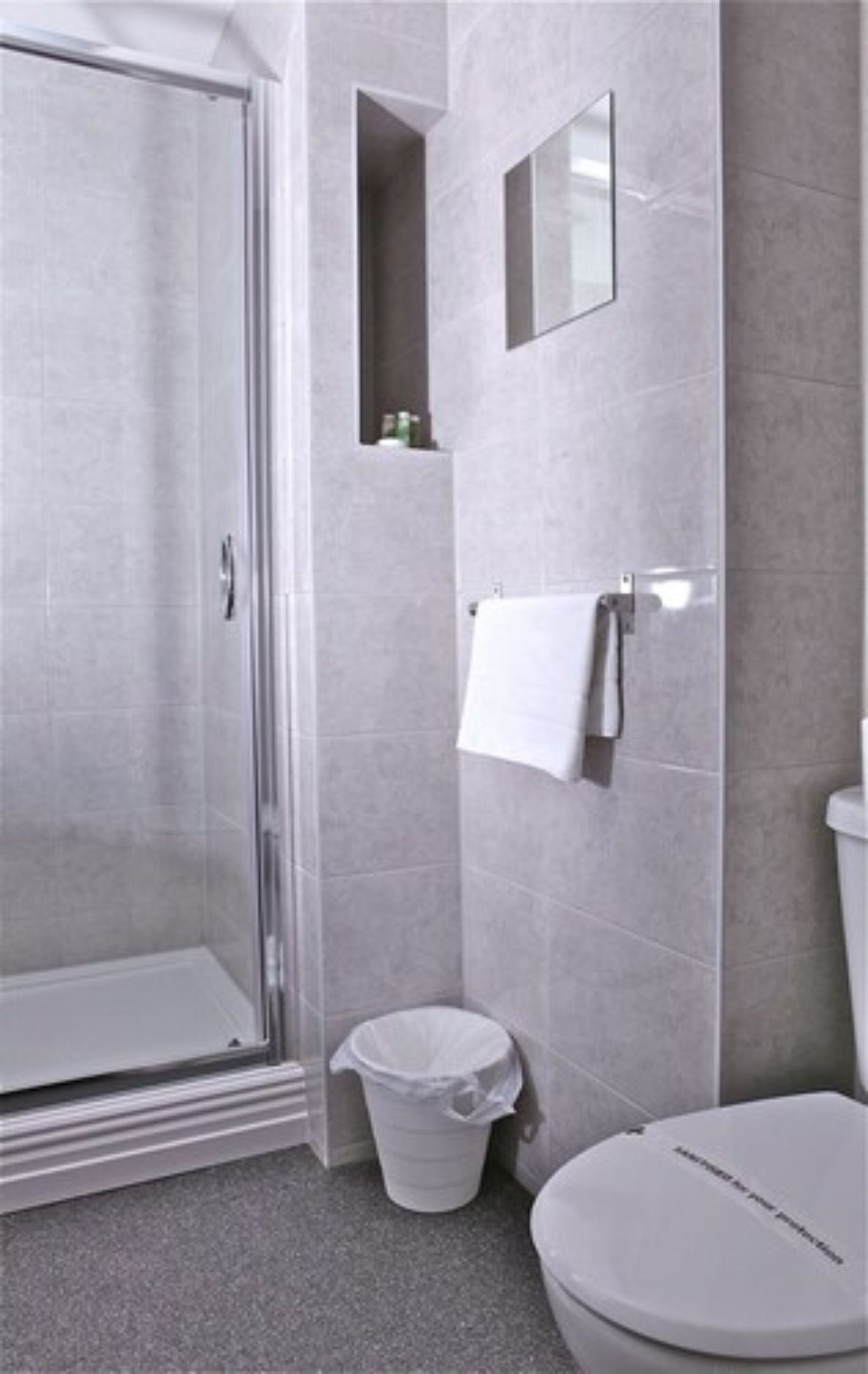 A bathroom with a glass shower enclosure, a toilet, a trash can, and a small mirror on the wall.