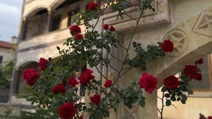 A building with a balcony and a rose bush in front.