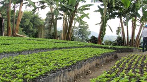 Habitación Confort doble, 1 cama de matrimonio | Vistas al jardín