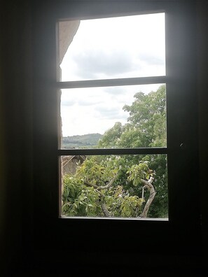Superior Suite, 2 Bedrooms, Vineyard View | View from room