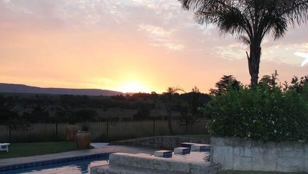 A backyard with a swimming pool, stone steps, and a palm tree. - Country Park (Muldersdrift)