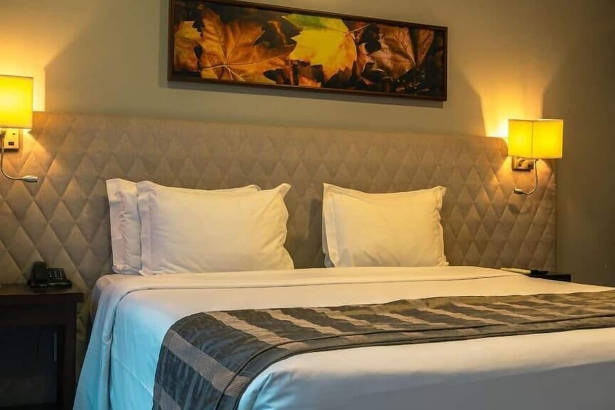 Minibar, odada kasa, masa, dizüstü bilgisayar çalışma alanı