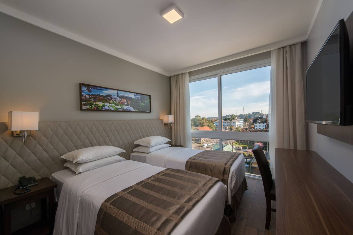 Habitación de hotel con dos camas, televisión, un cuadro y vistas a la ciudad.