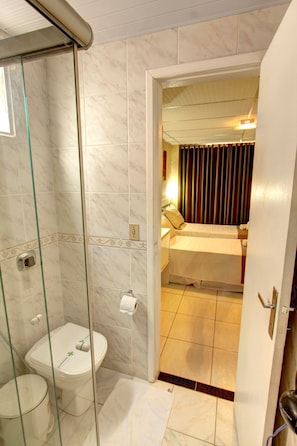 Shower, free toiletries, hair dryer, towels