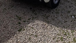 Une petite voiture blanche est garée sur un chemin de gravier.