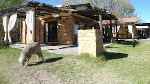 Exterior - Cabañas Malbec (San Rafael)
