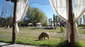 Vista desde la propiedad