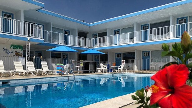 A swimming pool with lounge chairs and umbrellas, a multi-story building with balconies, and a sign reading "Isle of Capri". - Isle of Capri Motel (North Wildwood)