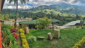 Un jardín exuberante con plantas tropicales y una palmera, un edificio con techo verde y un telón de fondo montañoso.