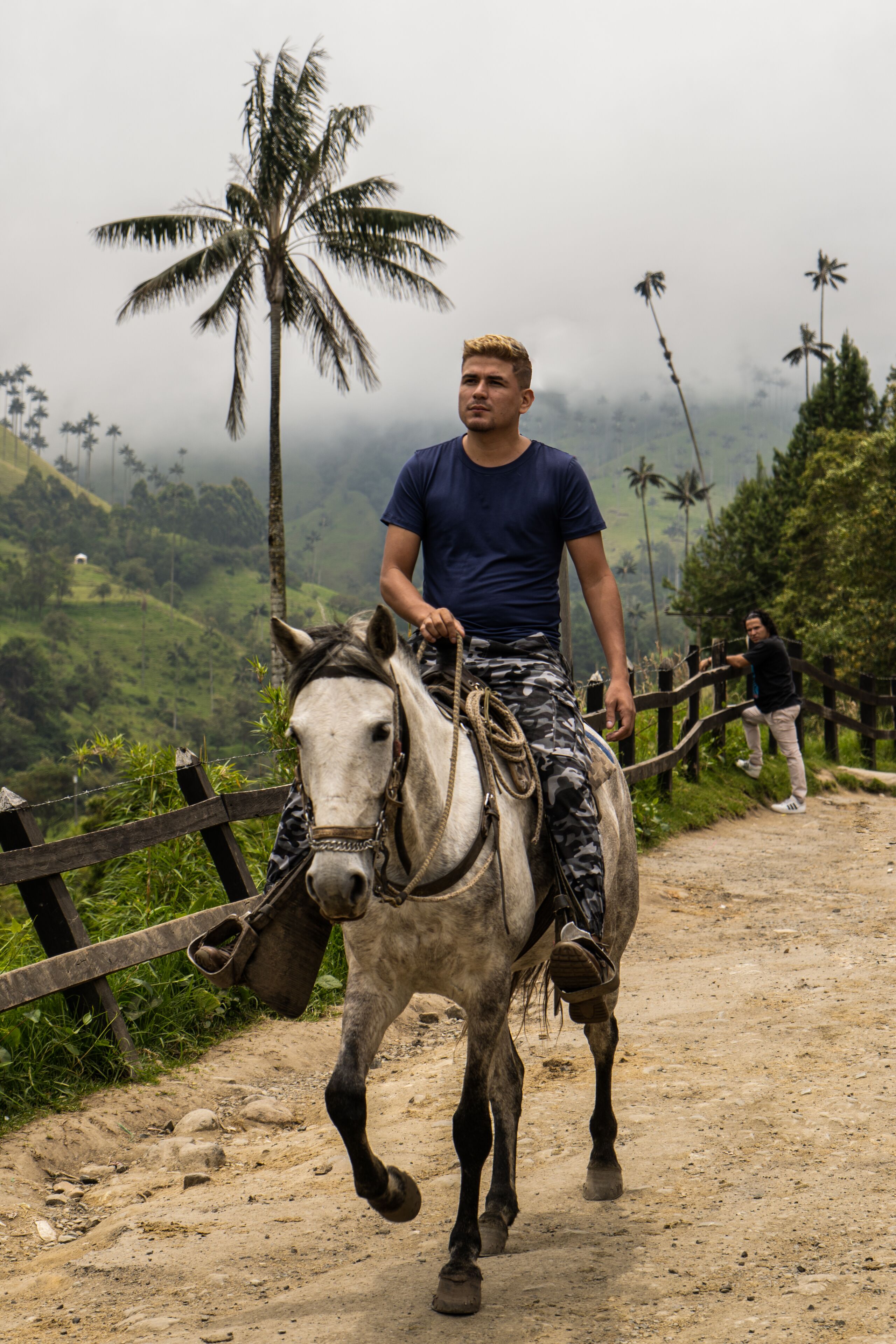 A person riding a horse on a dirt path with a wooden fence and palm trees in the background.