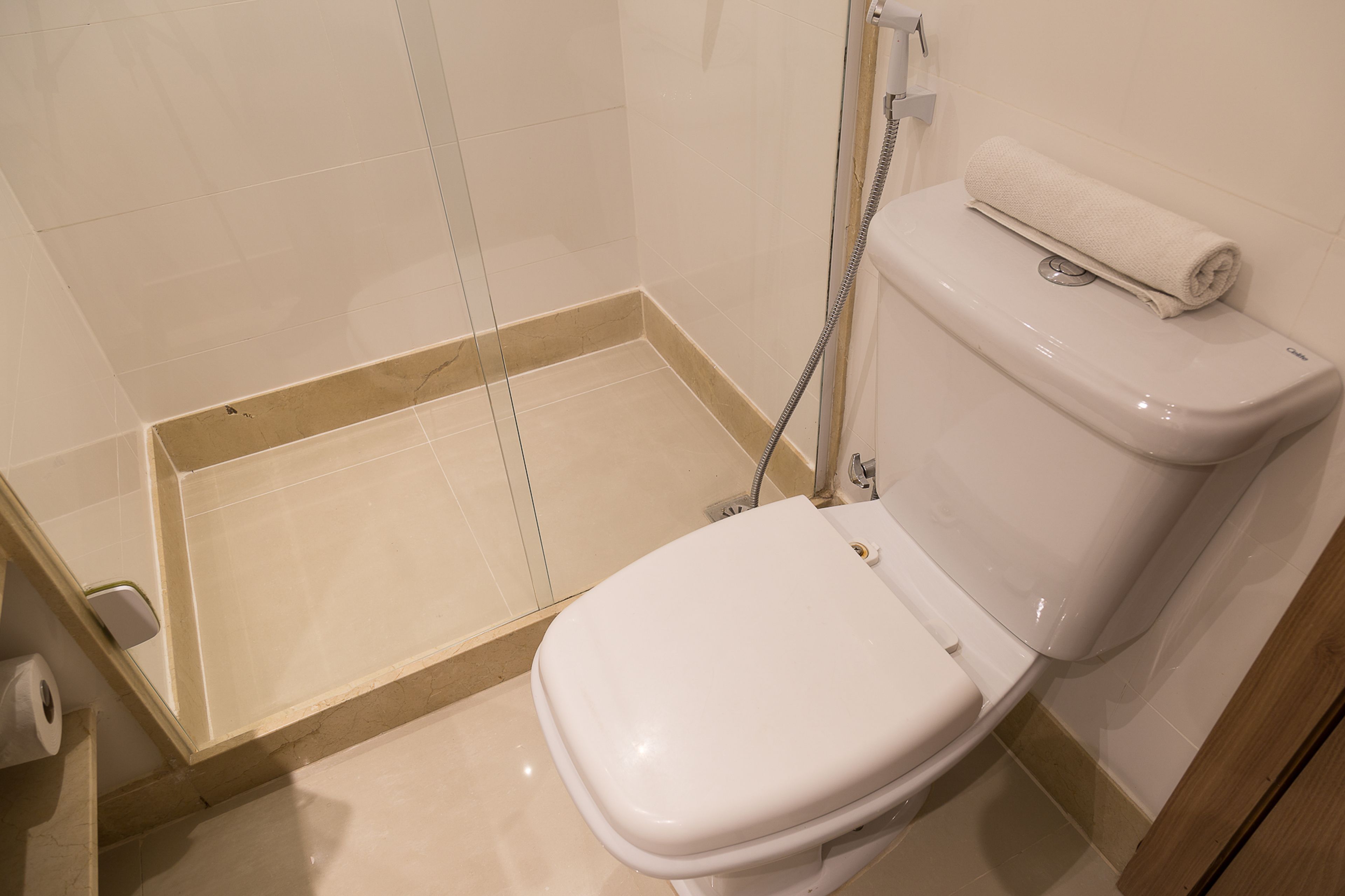 A bathroom with a toilet, a shower, and a toilet paper holder.