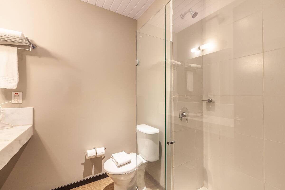 deluxe double room, 1 double bed | bathroom | shower, rainfall showerhead, free toiletries, hair dryer