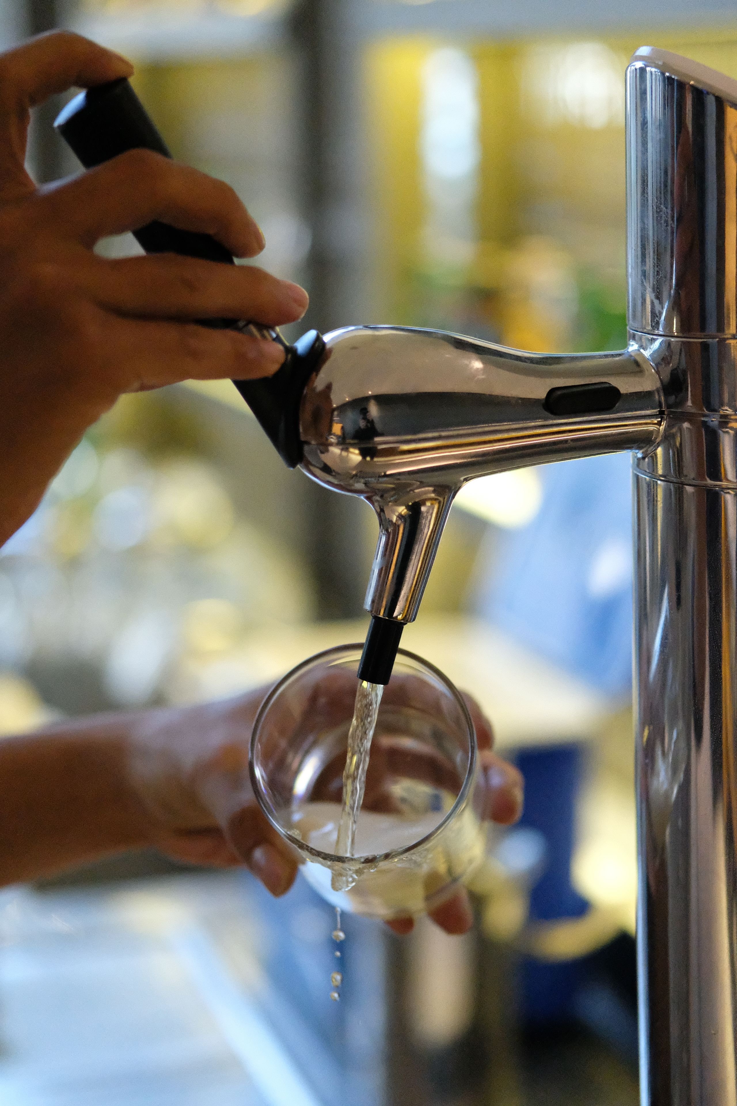 serves lunch and dinner